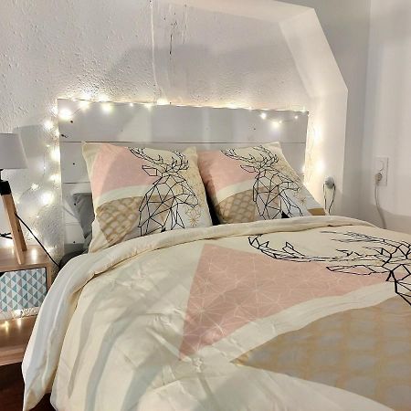 Apartament Le Temps Suspendu - Au Coeur D'Albi Zewnętrze zdjęcie