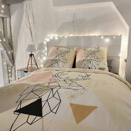 Apartament Le Temps Suspendu - Au Coeur D'Albi Zewnętrze zdjęcie