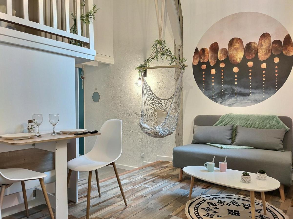 Apartament Le Temps Suspendu - Au Coeur D'Albi Zewnętrze zdjęcie
